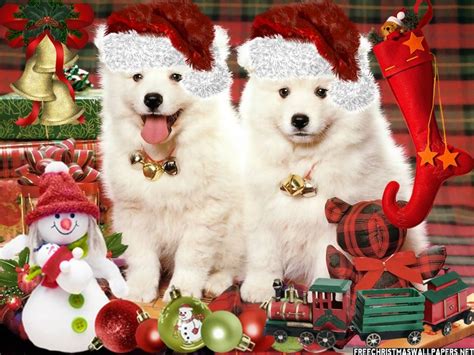 🔥 Free download Christmas Puppies wallpaper [808x606] for your Desktop, Mobile & Tablet ...