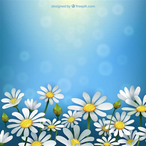 Free Vector | Spring background with daisies