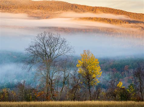 Fall/Fog/Fire/Forest/Frost/Foliage | Mt. Greylock MA | Bill | Flickr