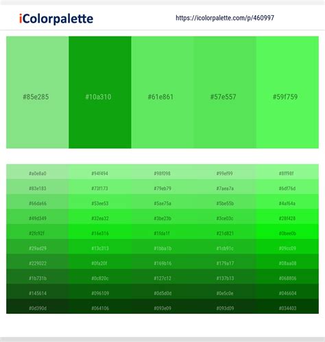 760+ Latest Color Schemes with Light Green Color tone combinations | 2021 | iColorpalette