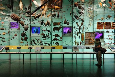 Pin by A // B on MONSTERS | Nature museum, Museum displays, Design museum