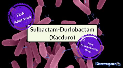 Sulbactam-durlobactam (Xacduro)