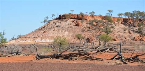 Rock wallaby & wallaroo habitat. - ZooChat