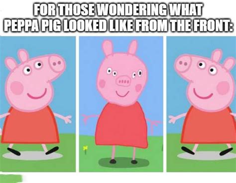 Peppa Pig Meme - Expectations vs Reality