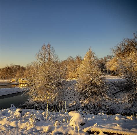 January Snow Storm Pics