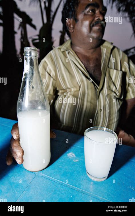 "Toddy" is palm wine. It's popular in backwaters of Kerala, India Stock Photo - Alamy