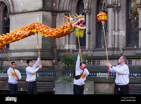 Chinese costume zodiac animals. Traditional golden New Year dragon ...