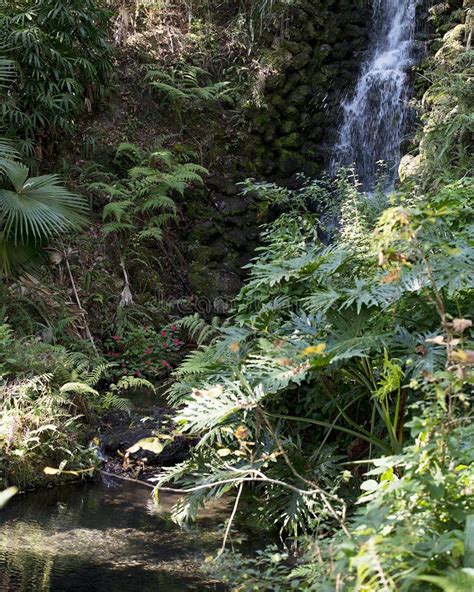 Waterfall Scenery Stock Photo. Meditation Picture. Peaceful Waterfall ...