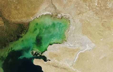 How climate change affects metocean monitoring in the Caspian Sea