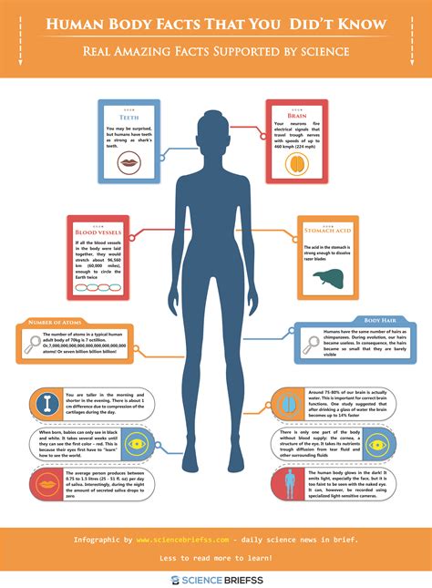 Facts About Human Body - Riset