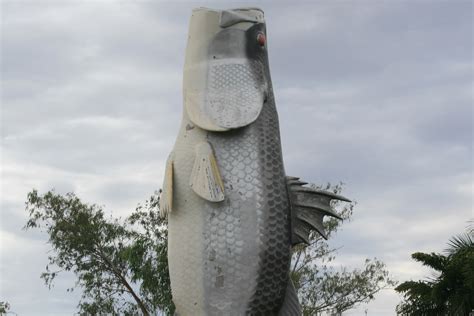 The Big Barramundi in Normanton