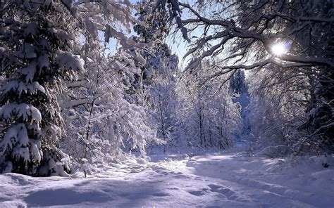 winter screensavers backgrounds (Marlow Mason 3000x1875) | Winter ...