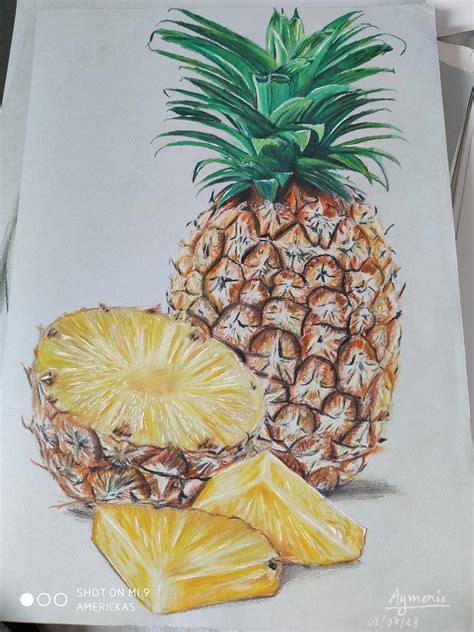 A pineapple drawing with colored pencils : r/drawing