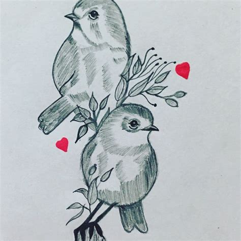 Love Birds | Love birds drawing, Bird pencil drawing, Bird drawings