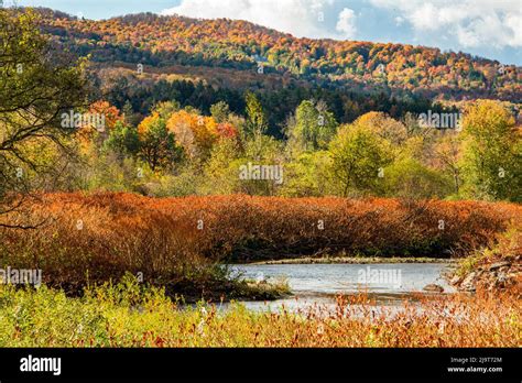 USA, Vermont, Stowe. Fall foliage along Little River Stock Photo - Alamy