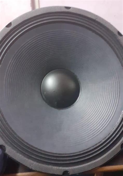 15 inch 200watt Loud Speaker at Rs 2900/piece in New Delhi | ID: 20883043012