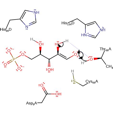 M-CSA Mechanism and Catalytic Site Atlas