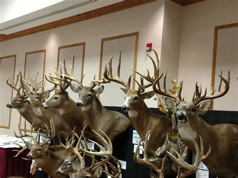 2017 Ohio Big Buck banquet | The Ohio Outdoors