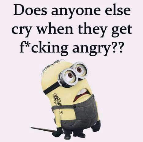 Cry when they get angry Minion Meme, Minions Love, Funny Minion Quotes ...