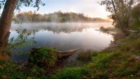 Foggy Lake - Image Abyss