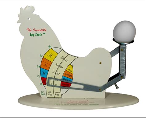 How to Grade Eggs - Egg Grading and Sizing - | EggCartons.Com – Page 2