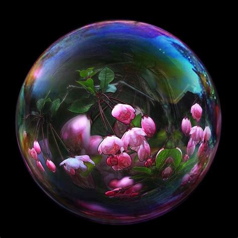 Bubble blossom | Bubbles photography, Bubble painting, Flower phone wallpaper