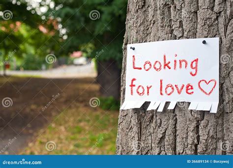 Looking for love stock photo. Image of announcement, sign - 36689134