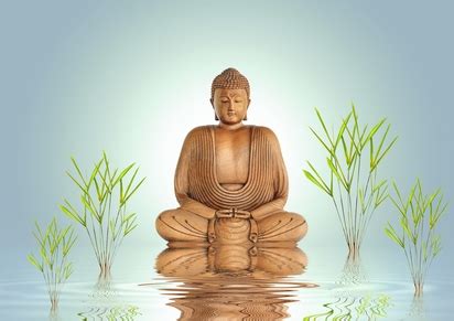 What Exactly Is Enlightenment? | The Mindfulness Meditation Institute