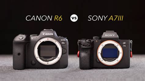 Canon EOS R6 vs Sony A7 III - Exploring the Differences? (Reviewed ...