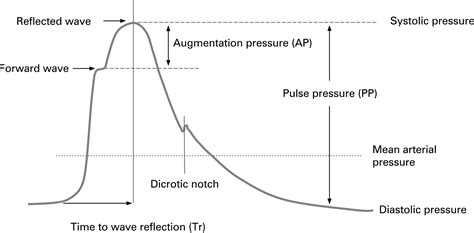 Increased arterial stiffness in patients with chronic obstructive pulmonary disease: a mechanism ...