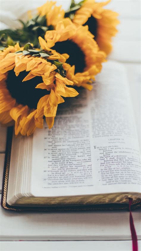 Download wallpaper 800x1420 book, reading, sunflowers, flowers ...