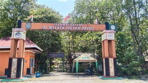 Menikmati Akhir Pekan di Wisata Hutan Payau Cilacap, Ada Dermaga Cinta Hingga Rumah Apung ...