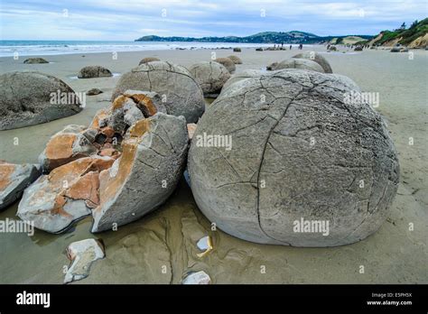 Moeraki south island new zealand hi-res stock photography and images - Alamy