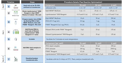 lipo 3000 invitrogen protocol – lipofectamine 3000 transfection ...