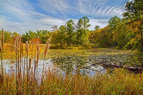 Hiking in Houston: 14 Stunning Houston Trails - Roaming the USA