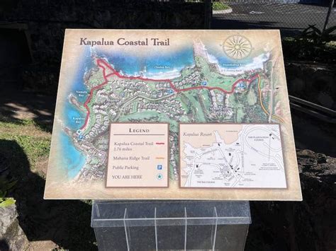 Kapalua Coastal Trail in Maui [Everything You Need to Know]