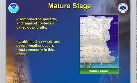 NWS Burlington: Thunderstorm Life Cycle - YouTube