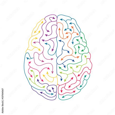 Creative human brain line art illustration Stock Vector | Adobe Stock