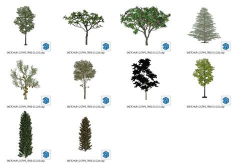 7587. Free Sketchup Trees Model Download