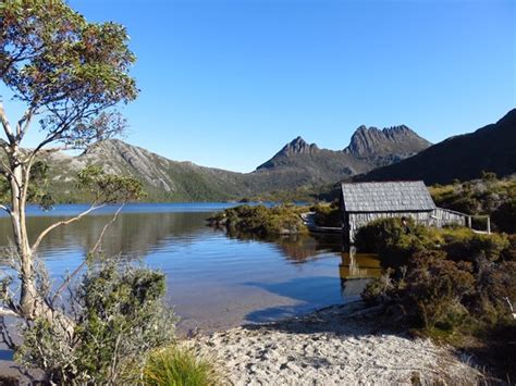 Dove Lake Circuit - Aussie Bushwalking