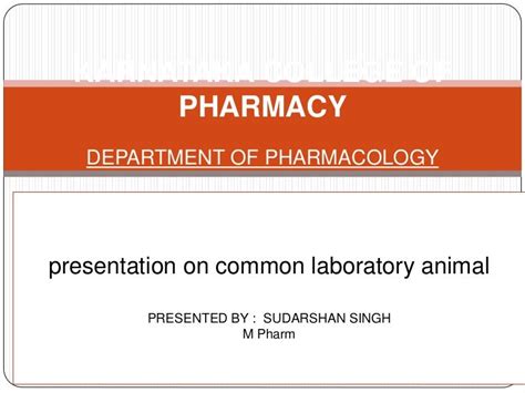 Common laboratory animals