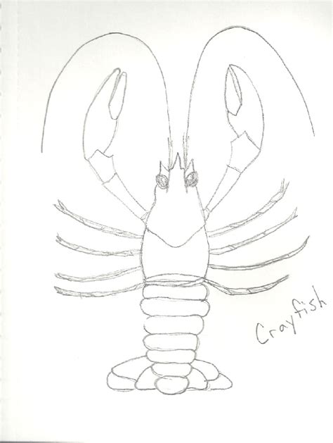 Academia: Crayfish