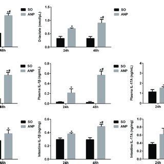 Changes in intestinal barrier permeability and the expression of... | Download Scientific Diagram