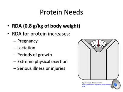 Protein RDA calculation - YouTube