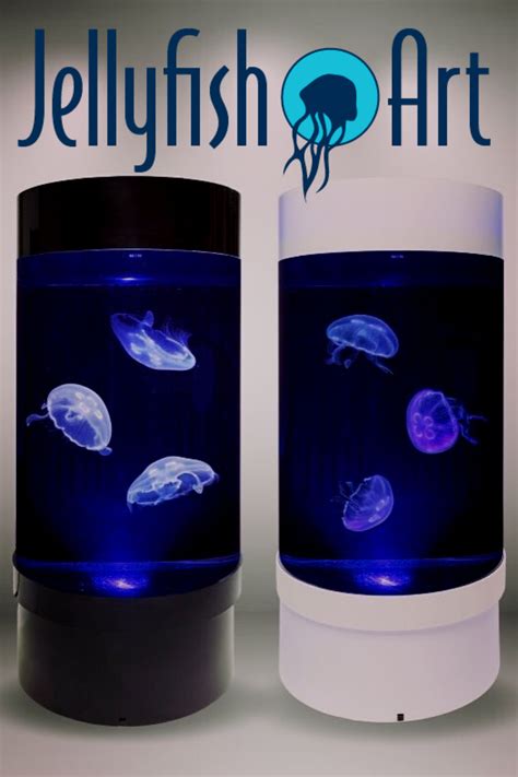 PET JELLYFISH TANK- AND EVERYTHING YOU NEED TO ENJOY THEM IN YOUR HOME | Jellyfish art, Pet ...