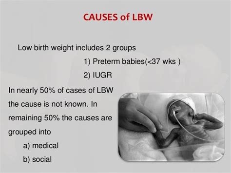 Anatomy And Physiology Of Low Birth Weight Baby – Baby tickers