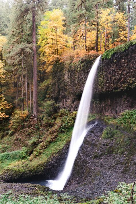 Beautiful Fall Colors at Silver Falls State Park in Oregon