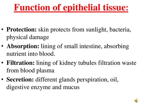 Tissues: group of cells that are similar in structure and function ...