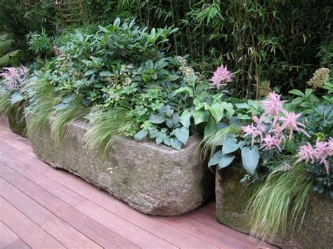 The Best How To Plant Trough Planters Ideas