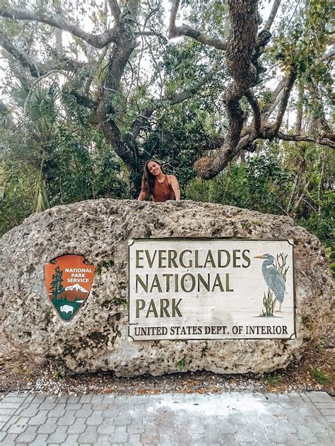 Exploring the real wild side of Miami: The Everglades – Travels of ...